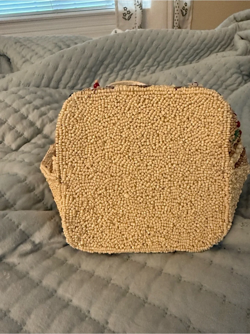 Viral TJ Maxx Beaded Fall Pumpkin Bag in Cream and Orange